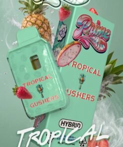 Tropical Gushers - Prime Extracts 2g Disposable